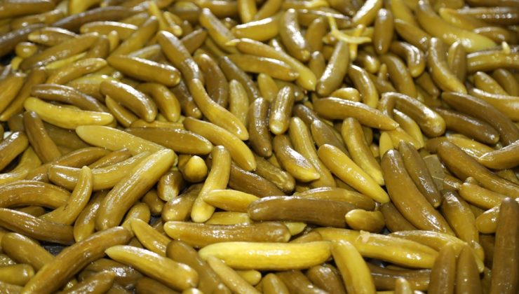 Çubuk Turşusu