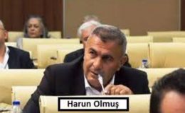 Kabadayı Başkan Yardımcısı